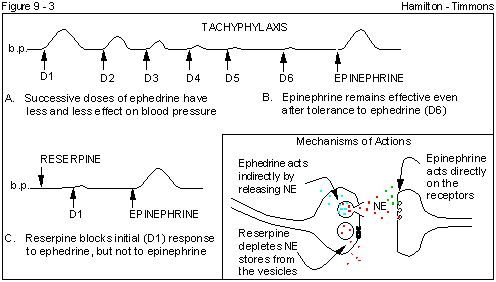 Figure 9 - 3