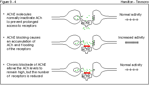 Figure 9 - 4