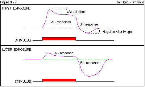 Figure 9 - 9