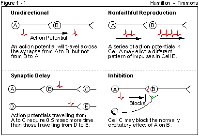 Figure 1 - 1