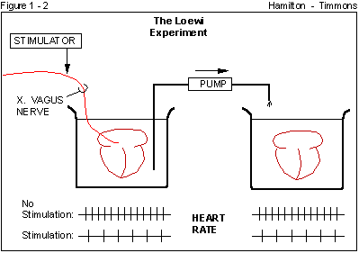 Figure 1 - 2