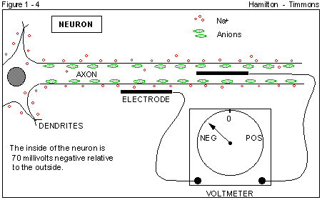 Figure 1 - 4