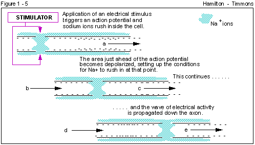 Figure 1 - 5