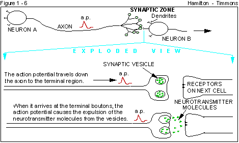 Figure 1 - 6