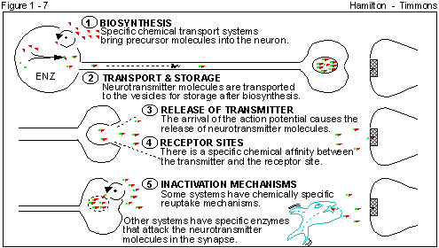 Figure 1 - 7