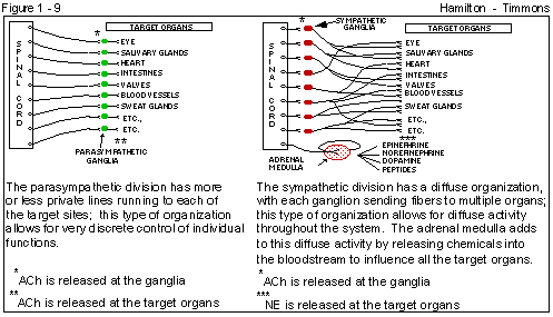 Figure 1 - 9