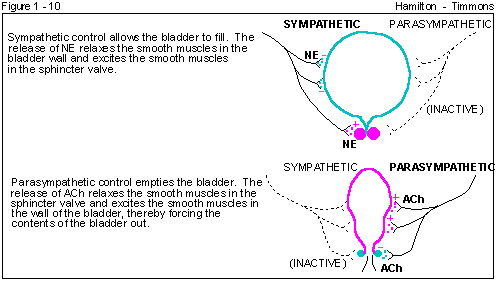 Figure 1 - 10