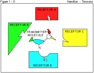 Figure 1 - 11