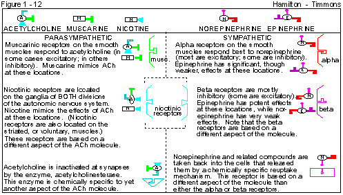 Figure 1 - 12