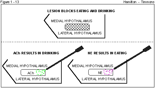 Figure 1 - 13