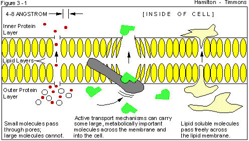 Figure 3 - 1