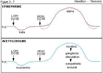 Figure 3 - 7