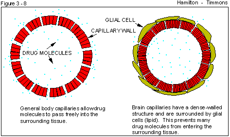 Figure 3 - 8