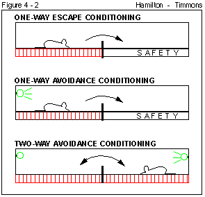 Figure 4 - 2