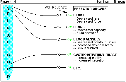 Figure 4 - 4