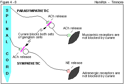 Figure 4 - 8