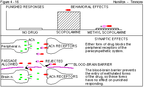 Figure 4 - 16