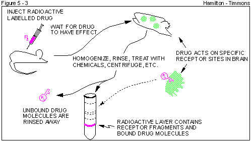 Figure 5 - 3