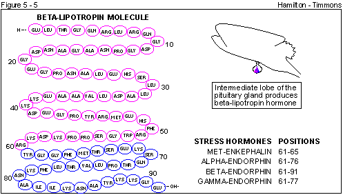 Figure 5 - 5