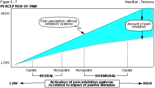 Figure 5 - 7