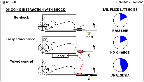 Figure 5 - 8