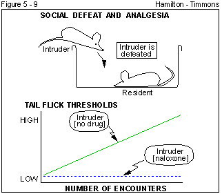 Figure 5 - 9