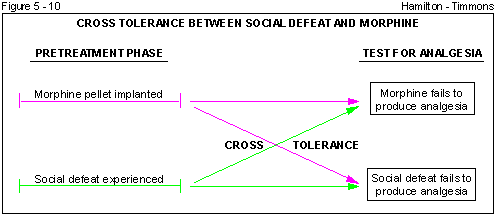 Figure 5 - 10