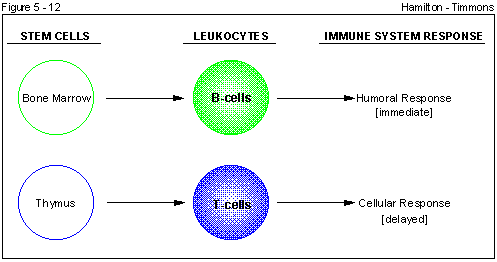 Figure 5 - 12