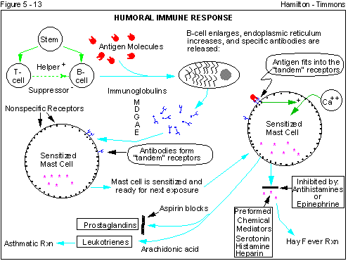 Figure 5 - 13