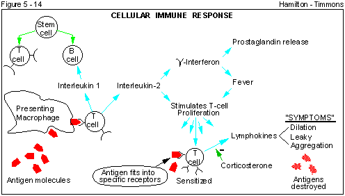 Figure 5 - 14