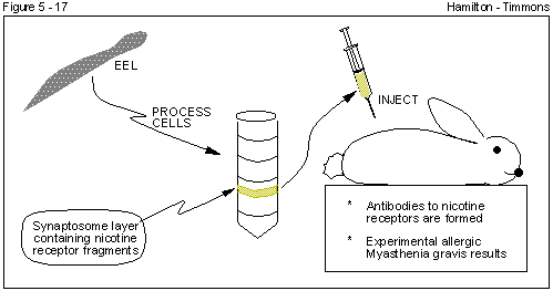 Figure 5 - 17