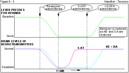 Figure 6 - 3