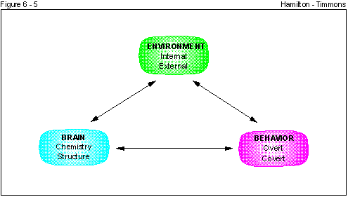 Figure 6 - 5