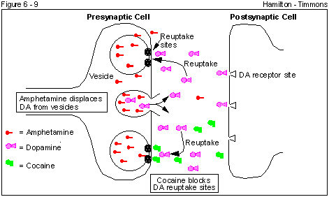 Figure 6 - 9