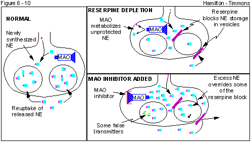 Figure 6 - 10