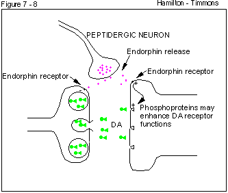 Figure 7 - 8