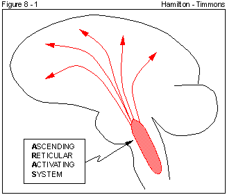 Figure 8 - 1