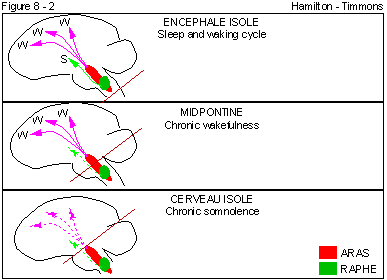 Figure 8 - 2