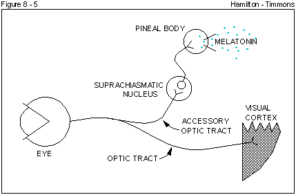 Figure 8 - 5