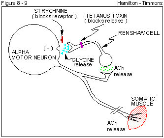 Figure 8 - 9