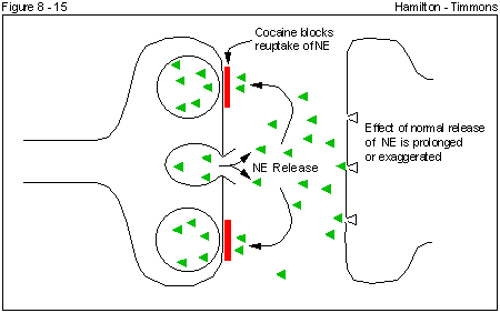 Figure 8 - 15