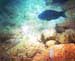 itled-12